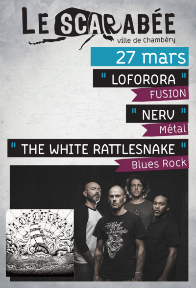 IMF_GRAND_PORTRAIT_WEB_CHEMIN_19571_1425035225