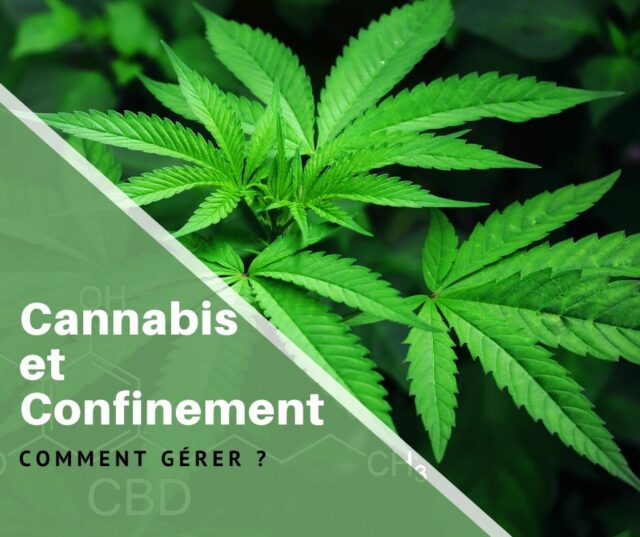 Cannabis et confinement